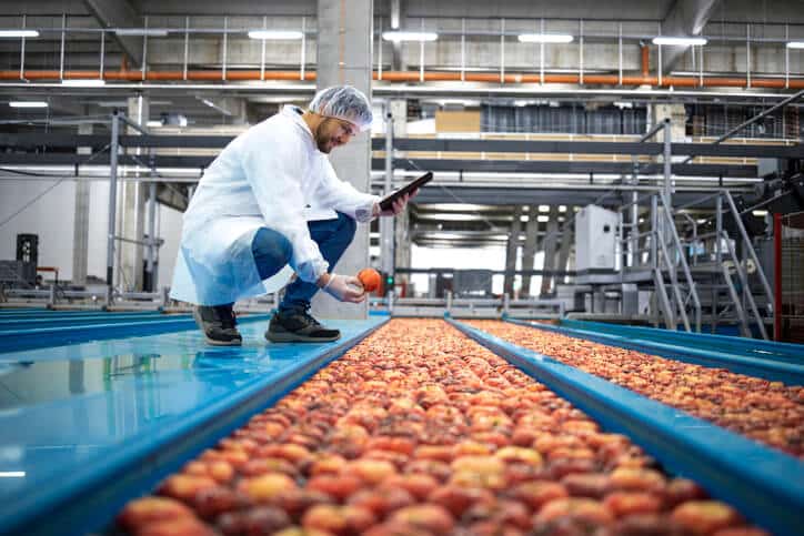 Food technologist inspecting food quality after food technology diploma