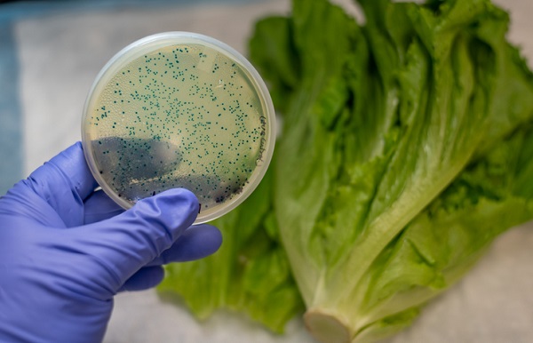 Students in food technology will learn about rapid detection of foodborne microorganisms
