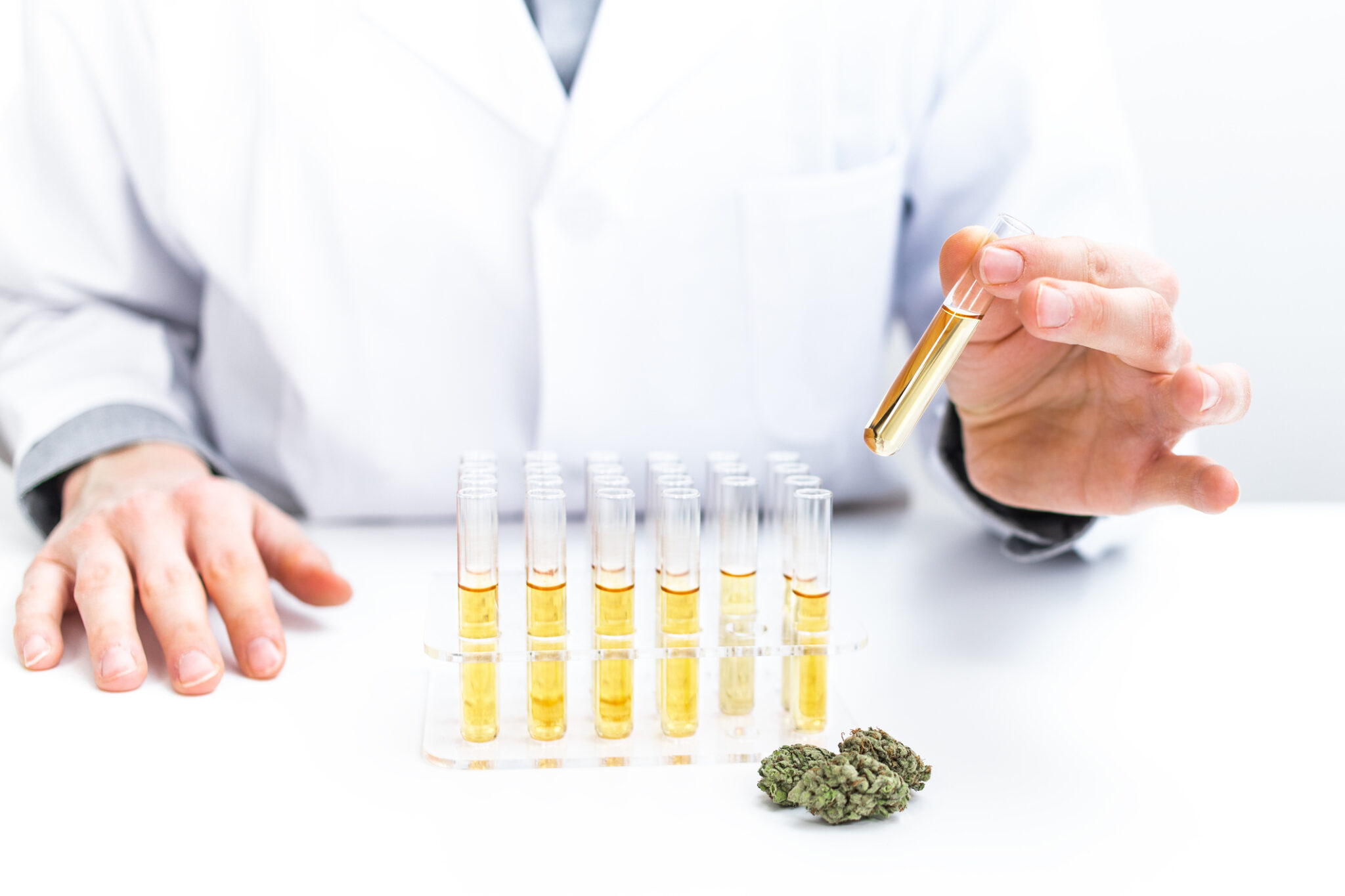 Microbial Testing L Cannabis Quality Assurance Training