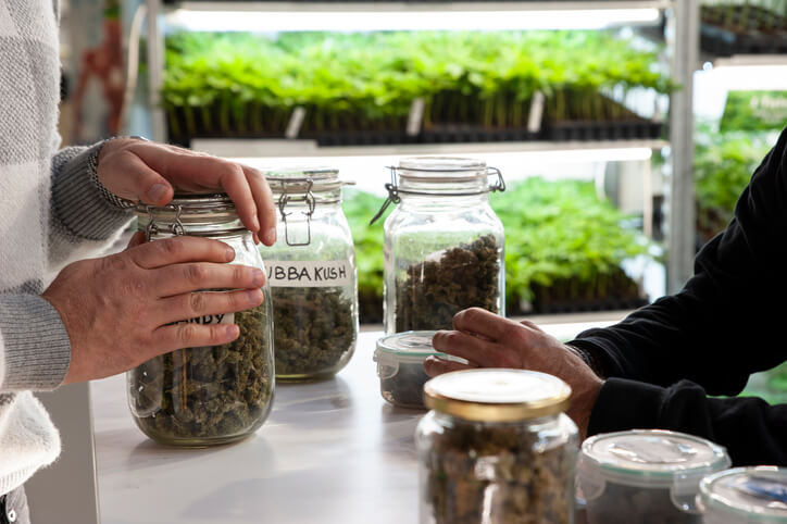 Cannabis store owner talking with a buyer after cannabis industry training