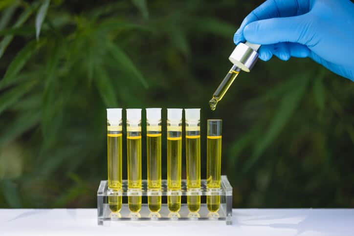 A cannabis professional formulating cannabis oil after completing his cannabis industry training