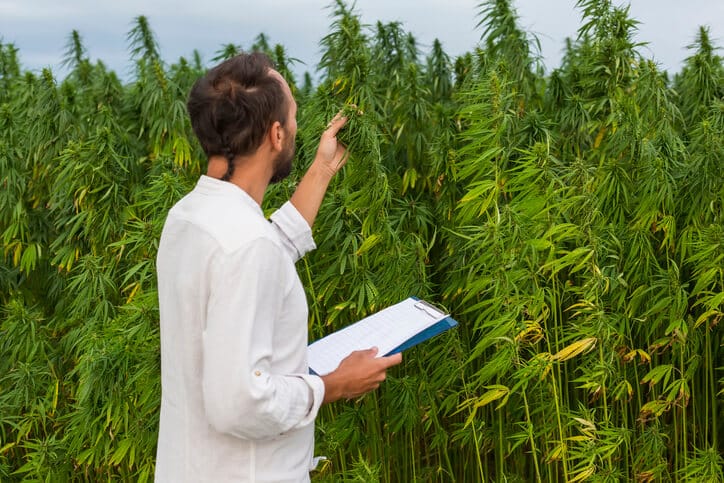 a team of cannabis professionals, after completing their cannabis industry training