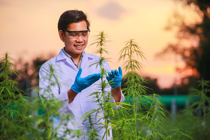 A smiling male cannabis professional at a production facility after completing his cannabis courses