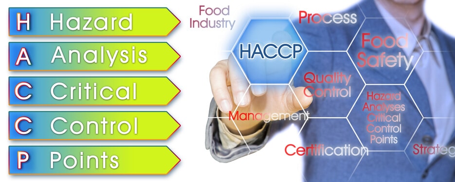 An image of the HACCP food safety and quality control concept