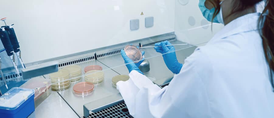 A microbiologist performing microbiological tests after food safety training