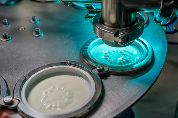 Fresh, creamy yogurt being packaged in a production plant